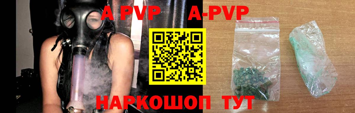 A PVP СК КРИС Балтийск