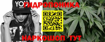 СК Обь