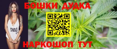СК Обь
