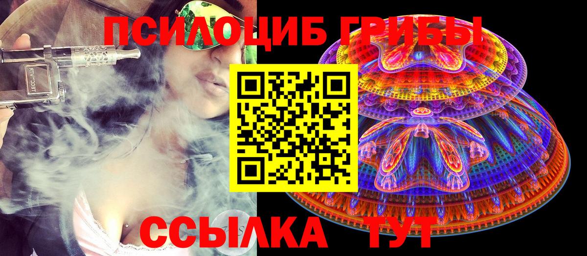 Псилоцибиновые грибы прущие грибы  Вход с VPN  Псилоцибиновые грибы Psilocybine cubensis  где купить наркоту  Балтийск 