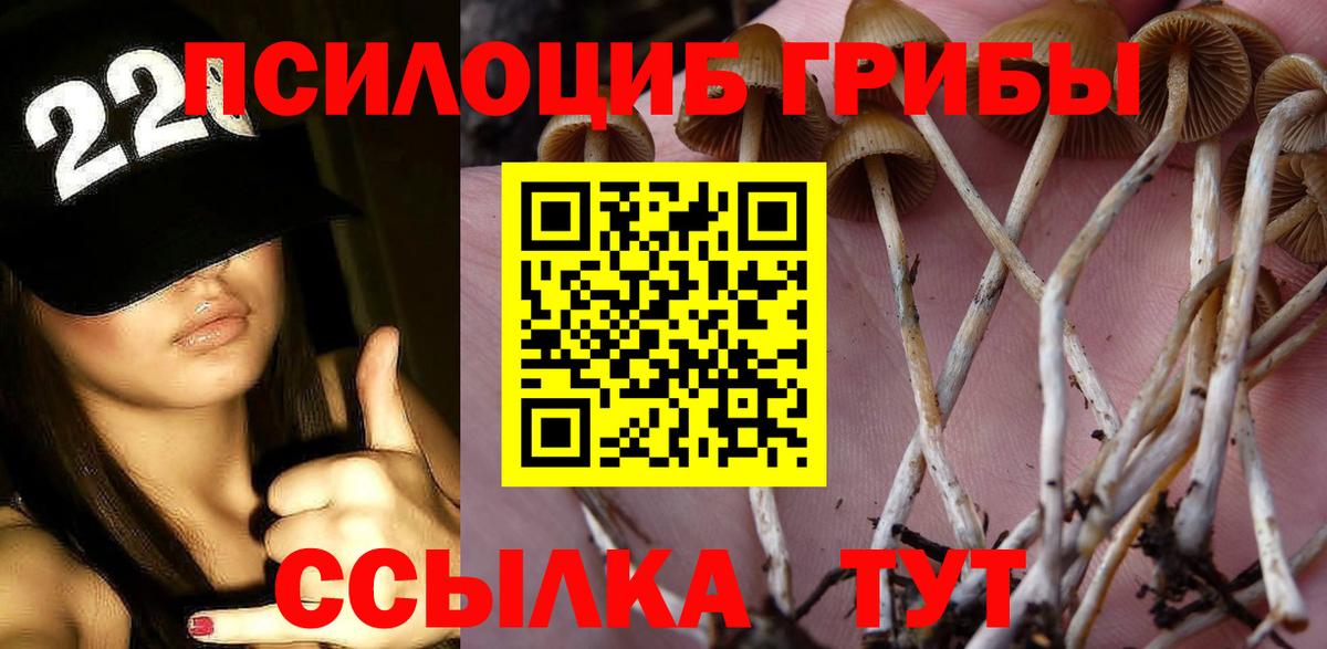 Псилоцибиновые грибы GOLDEN TEACHER Балтийск